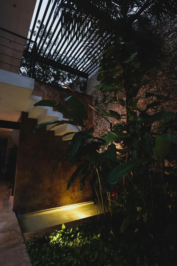 塞尔科泰尔卡萨德拉斯帕洛马斯酒店 梅里达 外观 照片